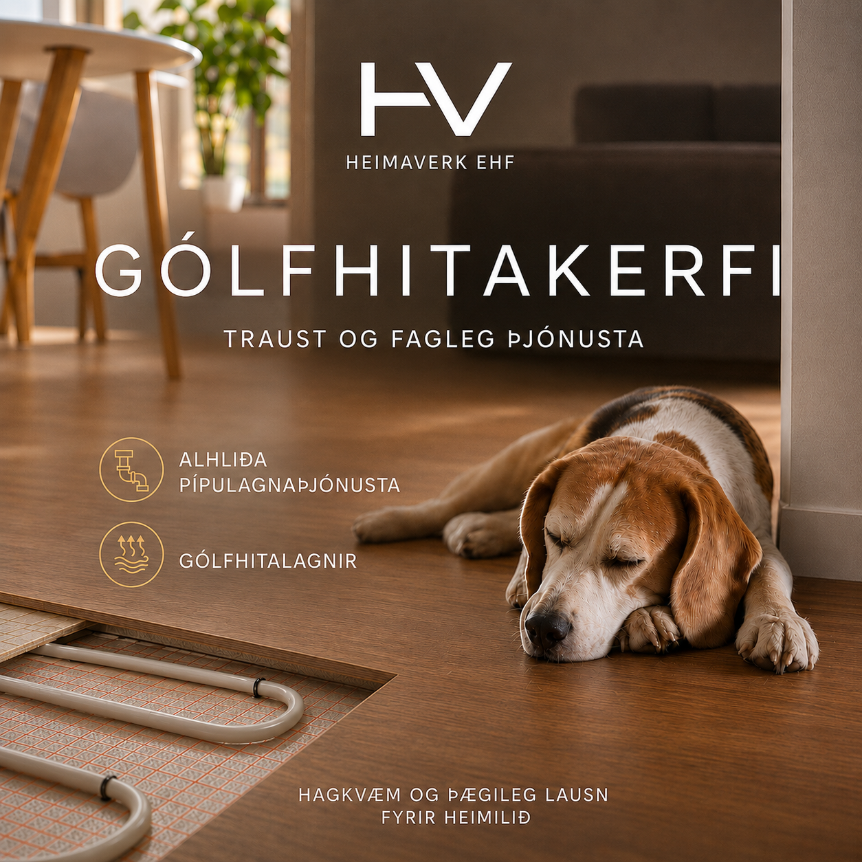 Gólfhitakerfi frá Heimaverk lagt undir viðargólfi í stofu þar sem hundur liggur á heitu gólfinu